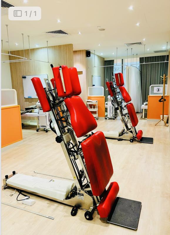 Japanese Body Therapy Franchise Opportunity