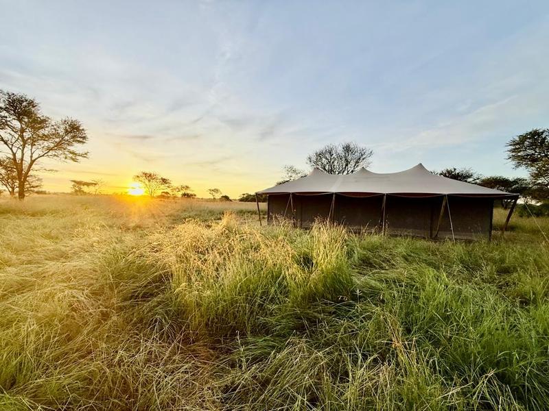 Newly Established Campground Equity Stake For Sale in Mugumu, Tanzania