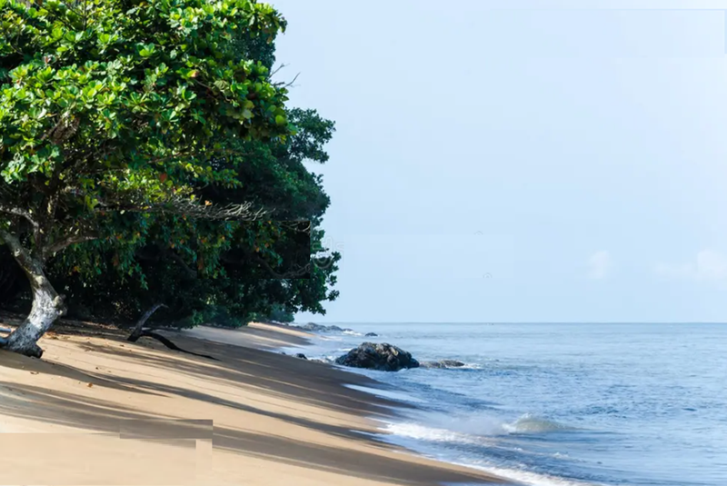 Hotel for Sale in Kribi, Cameroon