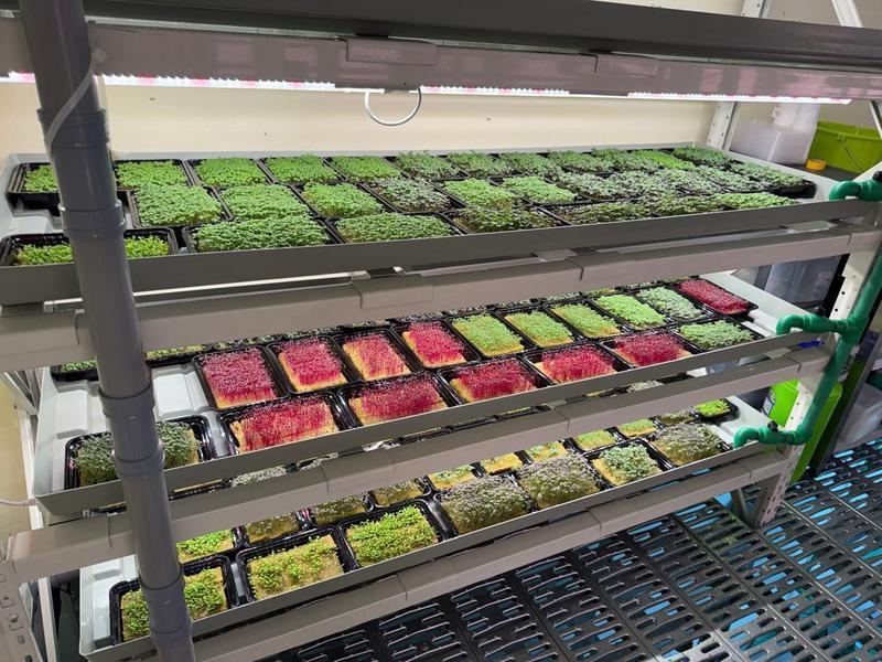 Newly Established Commercial Nurseries Company for Sale in Abu Dhabi, UAE