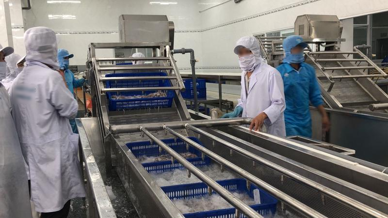 Seafood Processing Company for Sale in Phan Thiet, Vietnam