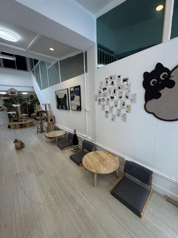 Newly Established Cafe for Sale in Bangkok, Thailand