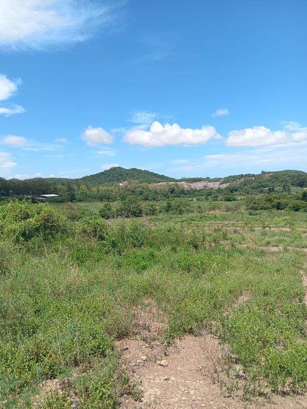 Newly Established Wellness Retreat Equity Stake For Sale in Pattaya, Thailand