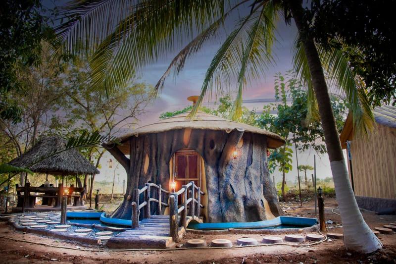 Newly Established Organic Farming Business for Sale in Tenkasi, India