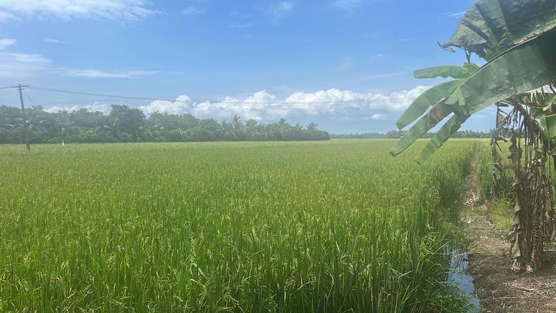 Newly Established Commercial Land for Sale in Kumarakom, India