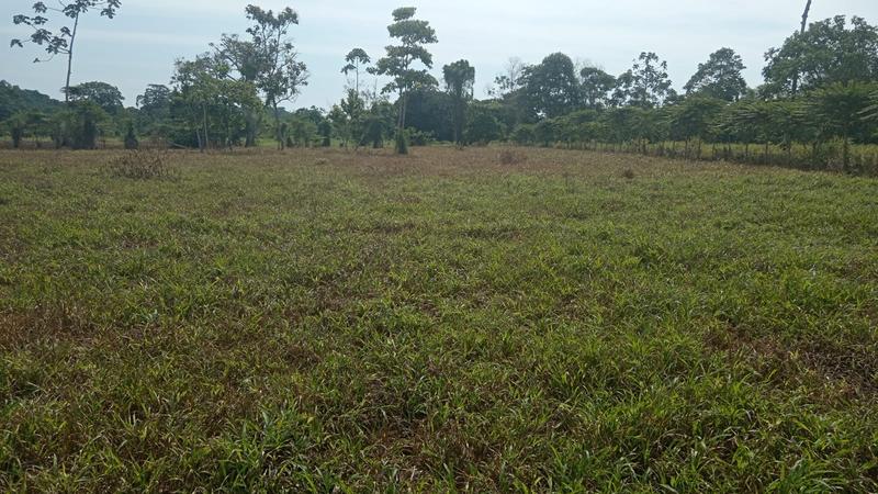 Newly Established Ice Factory Equity Stake For Sale in Mompiche, Ecuador