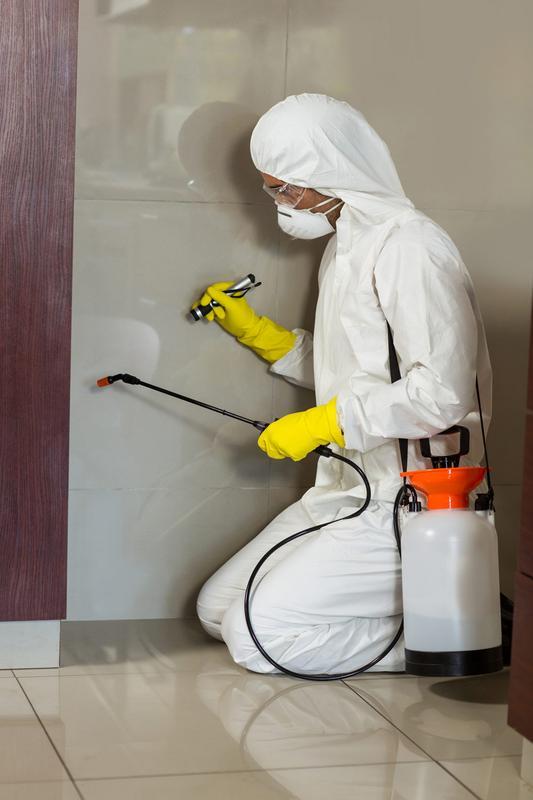 YourLocal Pest Control Of DM Brewer Holdings. Franchise Opportunity
