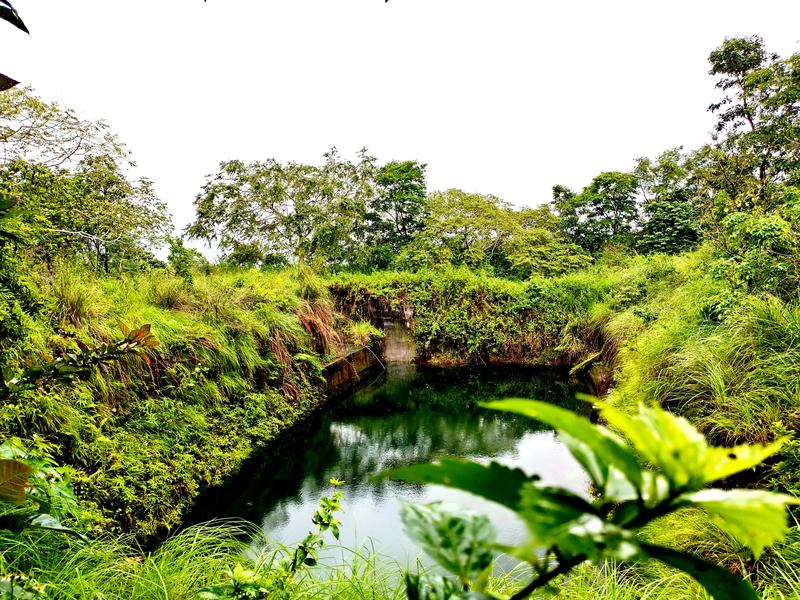 Tree Farm for Sale in Anavilasam, India