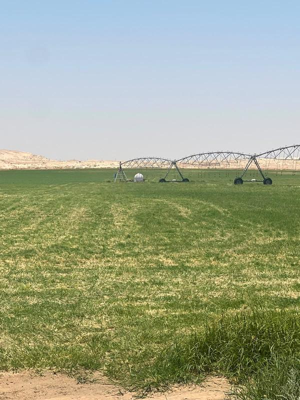 Animal Feed Business Equity Stake For Sale in Riyadh, Saudi Arabia