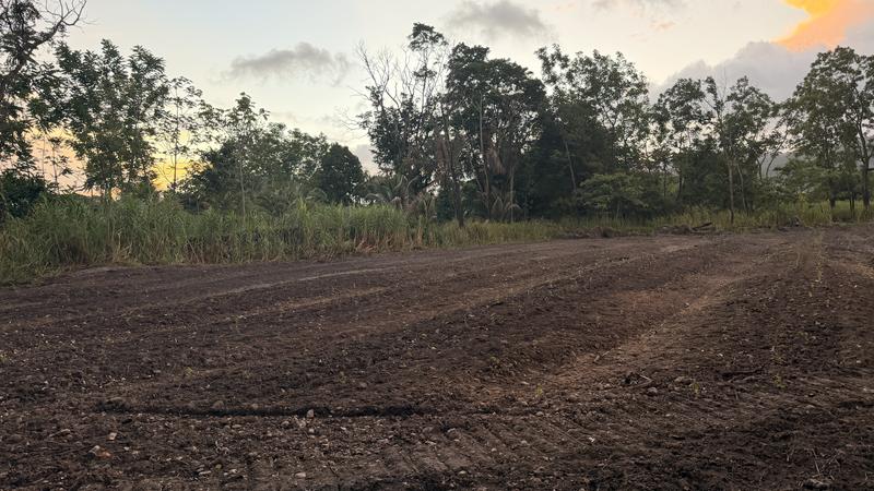 Newly Established Vegetable Farm Seeking Loan in Arima, Trinidad