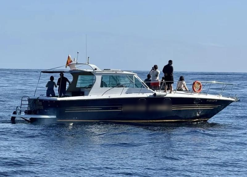 Yachts and Boats Company for Sale in Adeje, Spain