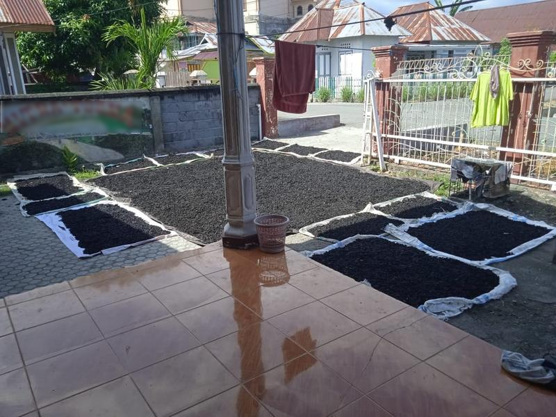 Newly Established Charcoal Business Equity Stake For Sale in Ampana, Indonesia