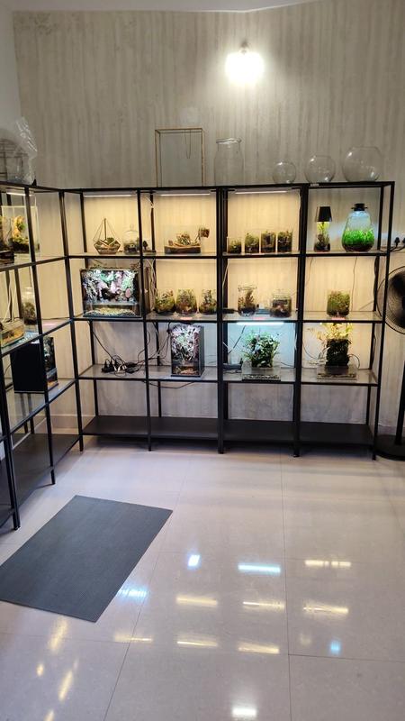Newly Established Landscaping Business Equity Stake For Sale in Bengaluru, India