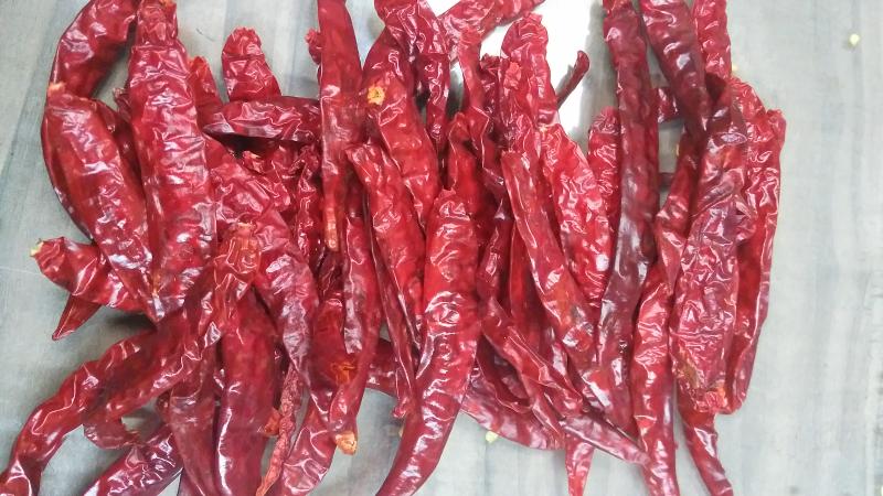 Spices Company Investment Opportunity in Guntur, India