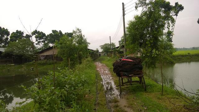 Agriculture Business for Sale in Tangail, Bangladesh