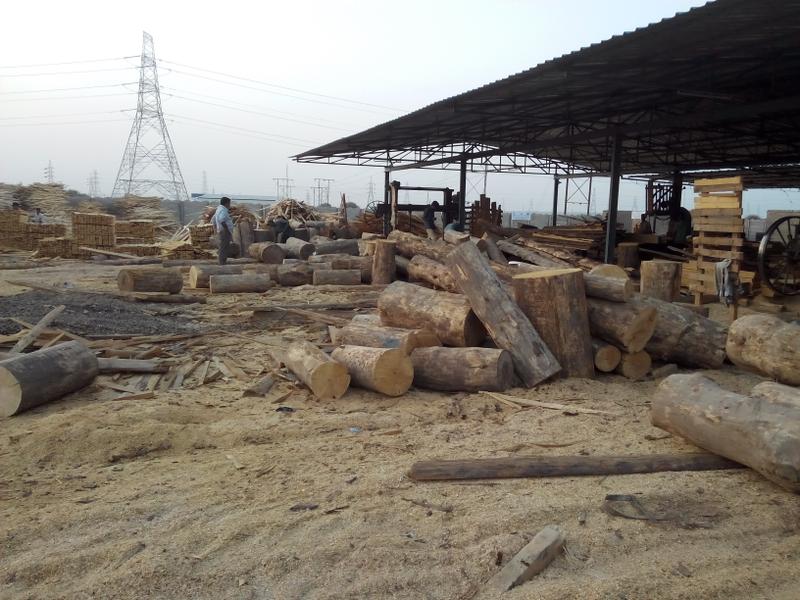 Timber Tract Operations Company for Sale in Gandhidham, India seeking