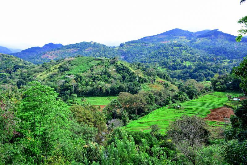 Commercial Real Estate Assets for Sale in Kandy, Sri Lanka seeking LKR