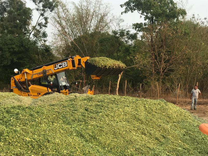 Animal Feed Company Seeking Loan in Odisha, India seeking INR 8.5 crore