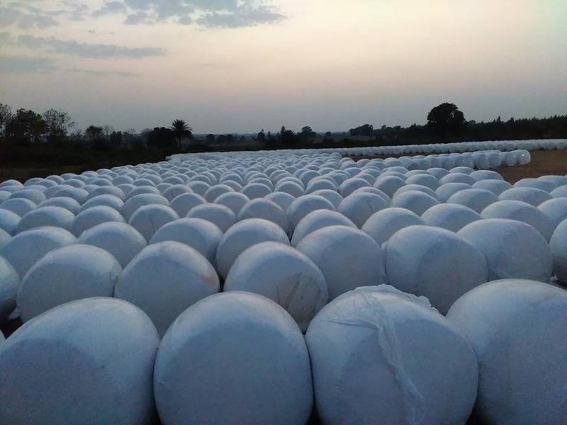 Animal Feed Company Seeking Loan in Odisha, India seeking INR 8.5 crore