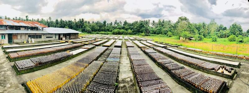 Nutrition Food Business Investment Opportunity in Tupi, Philippines