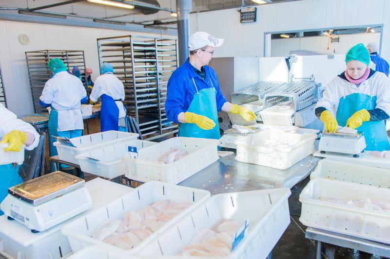 Profitable Fishing Company Investment Opportunity in Latvia