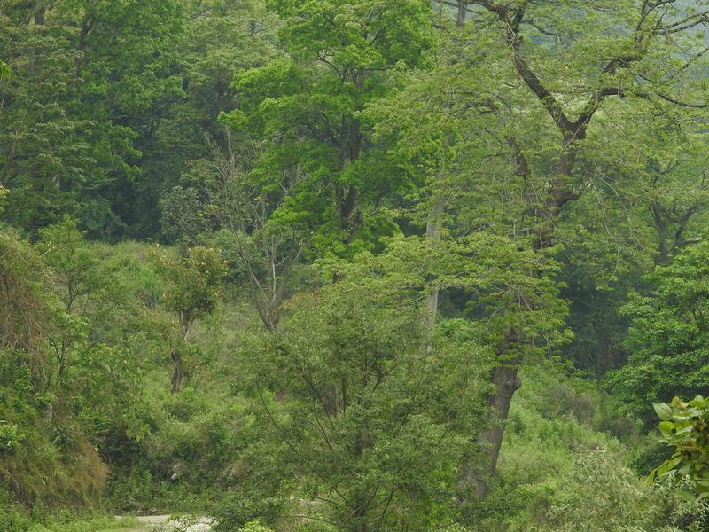 Bottled Water Company Seeking Loan in Thimphu, Bhutan