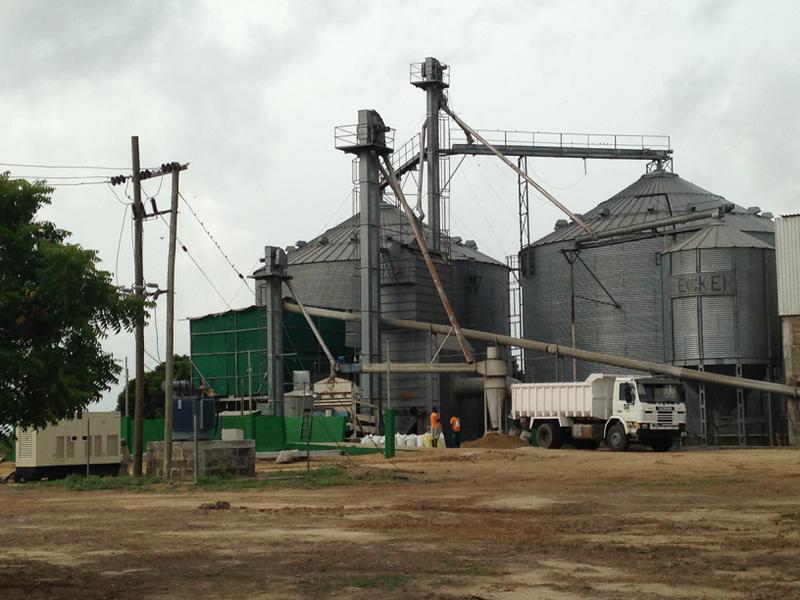 Grain Farms Company for Sale in Volta Region, Ghana