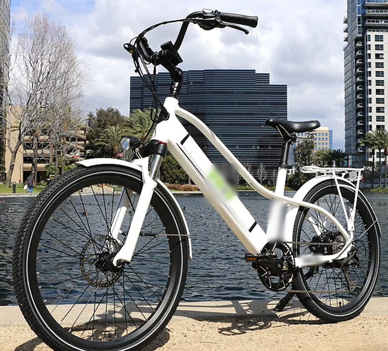 Electrical Vehicles Company Investment Opportunity in Noida, India
