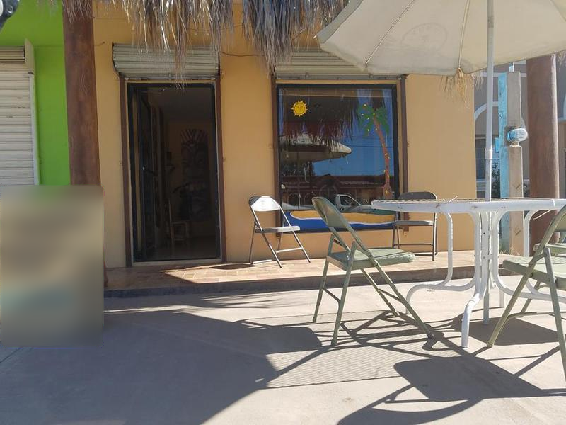 Profitable Ice Cream Parlor Investment Opportunity in Nuevo Casas Grandes Municipality, Mexico
