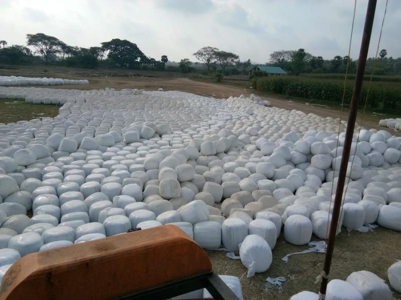 Profitable Animal Feed Company Investment Opportunity in Ongole, India