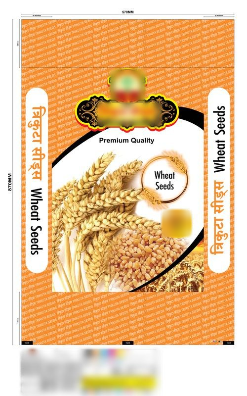 Profitable Packaging Business Seeking Loan in Guna, India