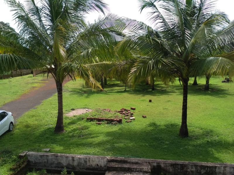 Food Processing Business Assets for Sale in Ratnagiri, India seeking