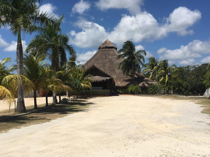 Profitable Nightclub for Sale in Playa del Carmen, Mexico