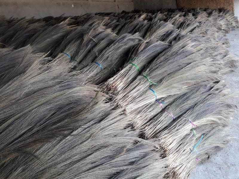 Brooms, Brushes and Dustpans Business Seeking Loan in Siliguri, India