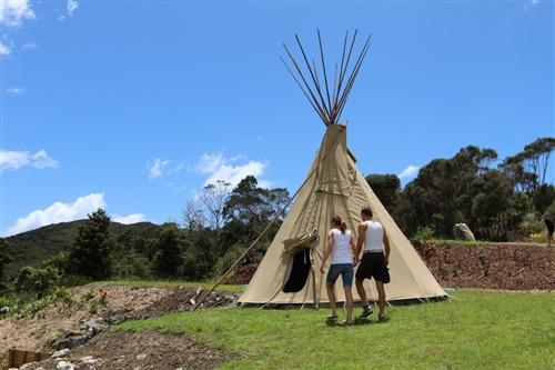 Resort for Sale in Northland, New Zealand
