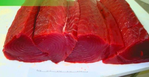 Agriculture Wholesale Company Investment Opportunity in Male, Maldives