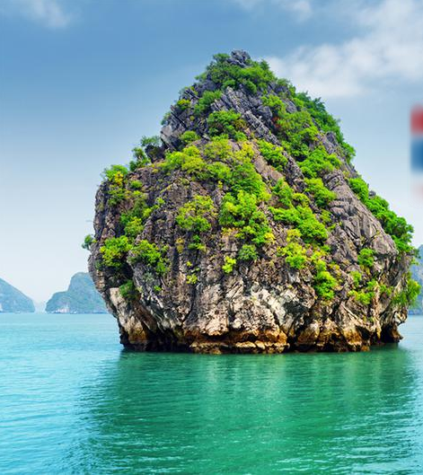 Tour Operator for Sale in Ho Chi Minh City, Vietnam