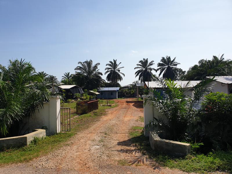 Vegetable Farm for Sale in Malacca, Malaysia seeking MYR 1.3 million