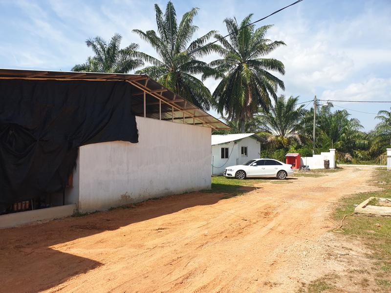 Vegetable Farm for Sale in Malacca, Malaysia seeking MYR 1.3 million