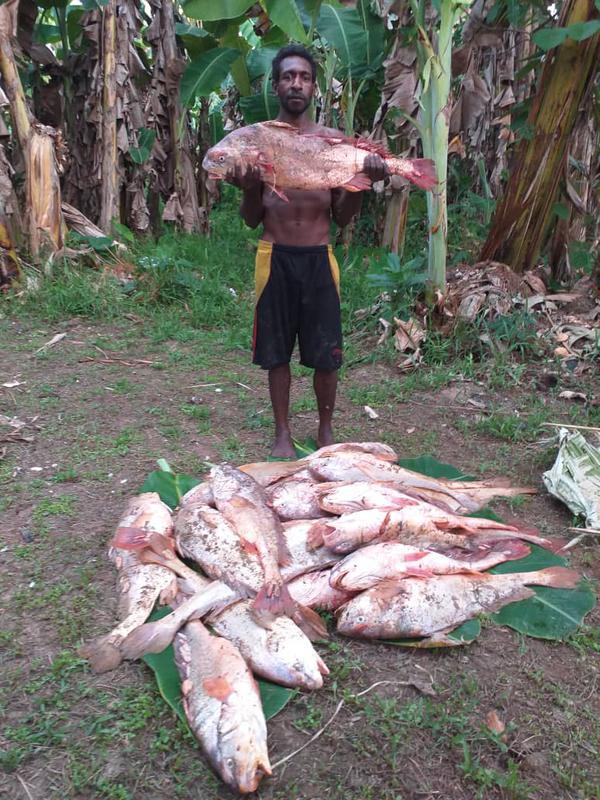 Seafood Processing Company Seeking Loan in Port Moresby, Papua New