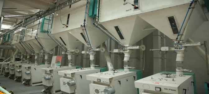 Newly Established Agriculture Wholesale Business Seeking Loan in Pune, India
