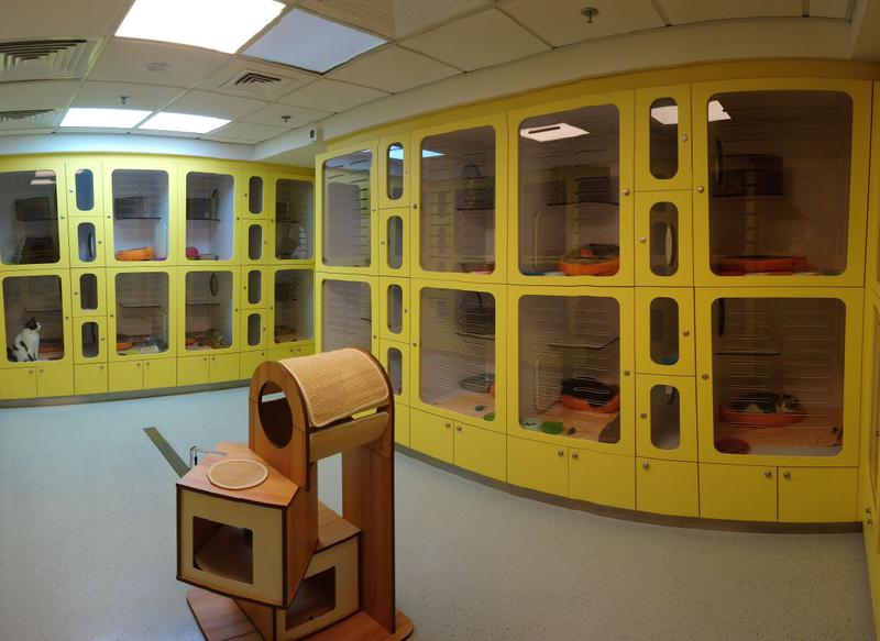 Pet Care Company for Sale in United Arab Emirates seeking AED 2.5 million