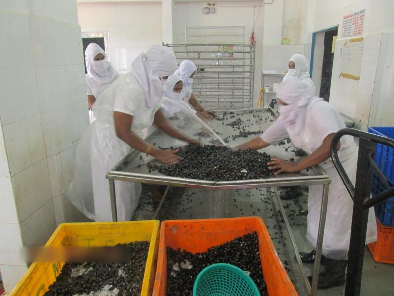 Profitable Seafood Processing Company Investment Opportunity in