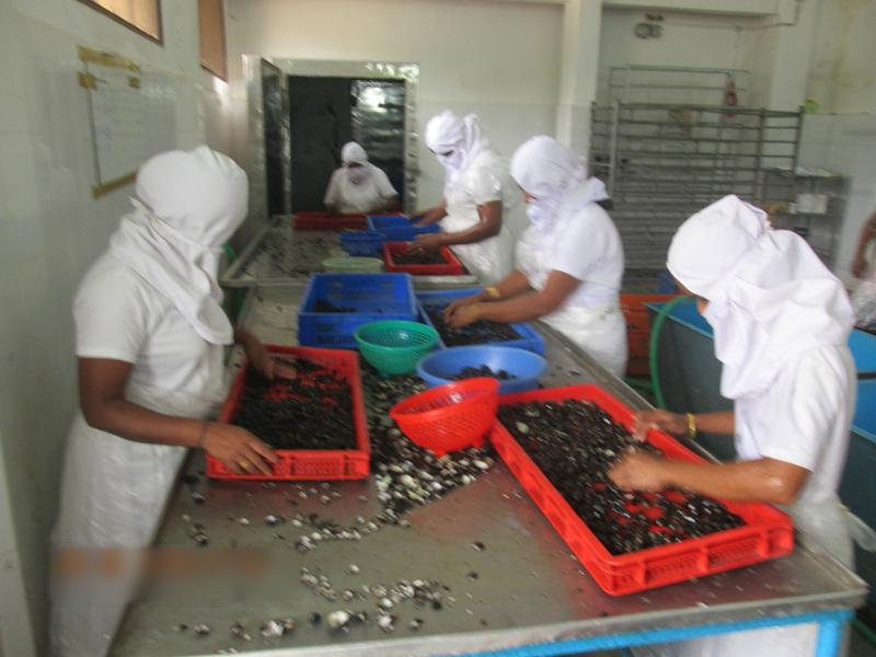 Profitable Seafood Processing Company Investment Opportunity in