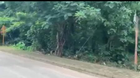 Industrial Land Assets for Sale in Kochi, India