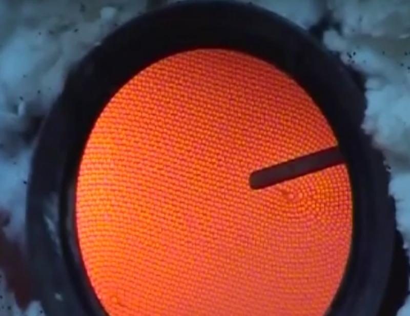 Profitable Auto Repair and Service Company Equity Stake For Sale in Latvia