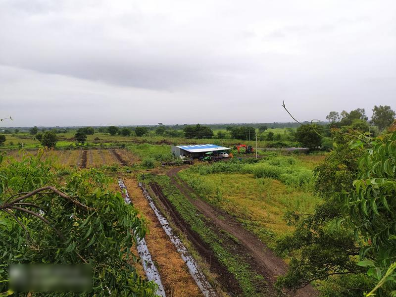 Vegetable Farm Investment Opportunity in Pune, India