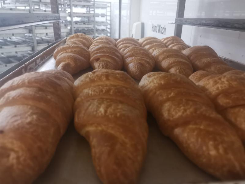 Bakery Products Company for Sale in Ajman, United Arab Emirates seeking