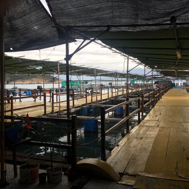 Fishing Business for Sale in New Territories, Hong Kong seeking HKD 30