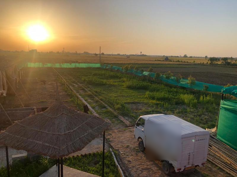 Profitable Dairy Farms Business for Sale in Mohali, India